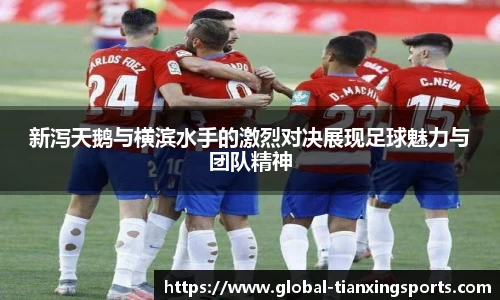 新泻天鹅与横滨水手的激烈对决展现足球魅力与团队精神